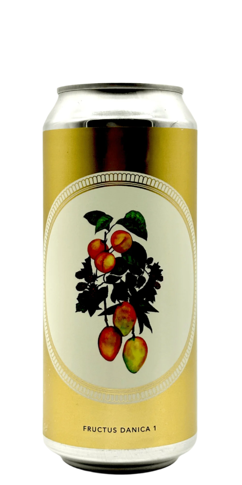 Evil Twin NYC Fructus Danica 1 sour ale craft beer can with apricots mangoes raspberries