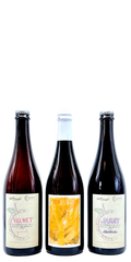 Side Project Fruited Specials Bundle