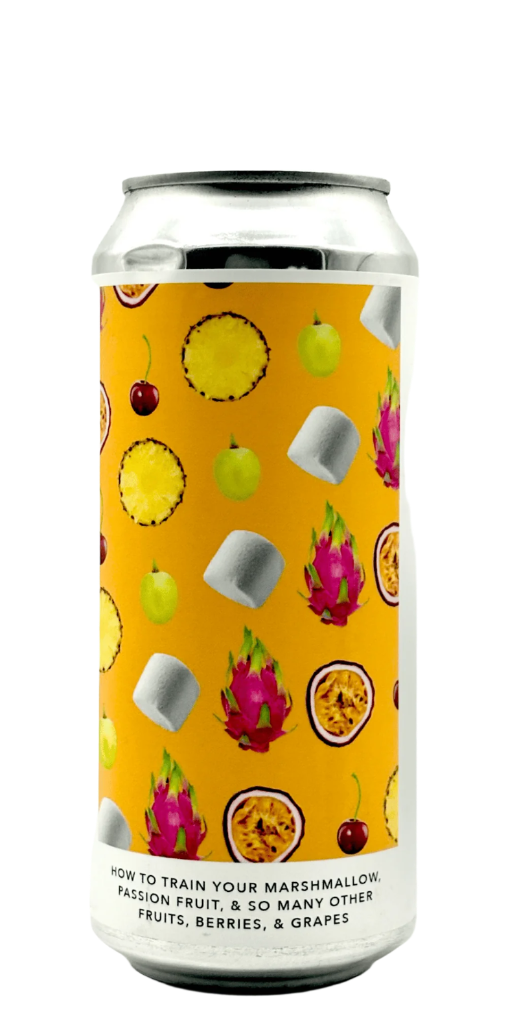 Evil Twin NYC How To Train Your Marshmallow sour ale craft beer can with tropical fruits