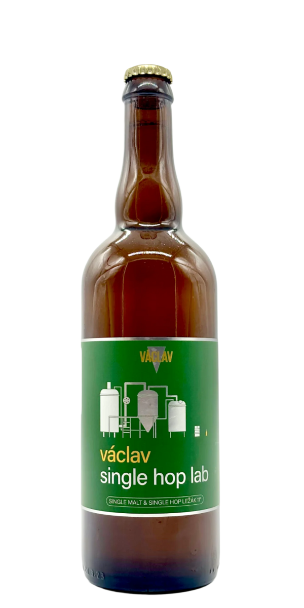 Václav - Single Hop Lab 11°