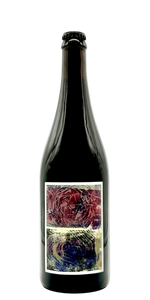 Sante Adairius Sky and Sea mixed fermentation saison craft beer bottle blueberries cellar club