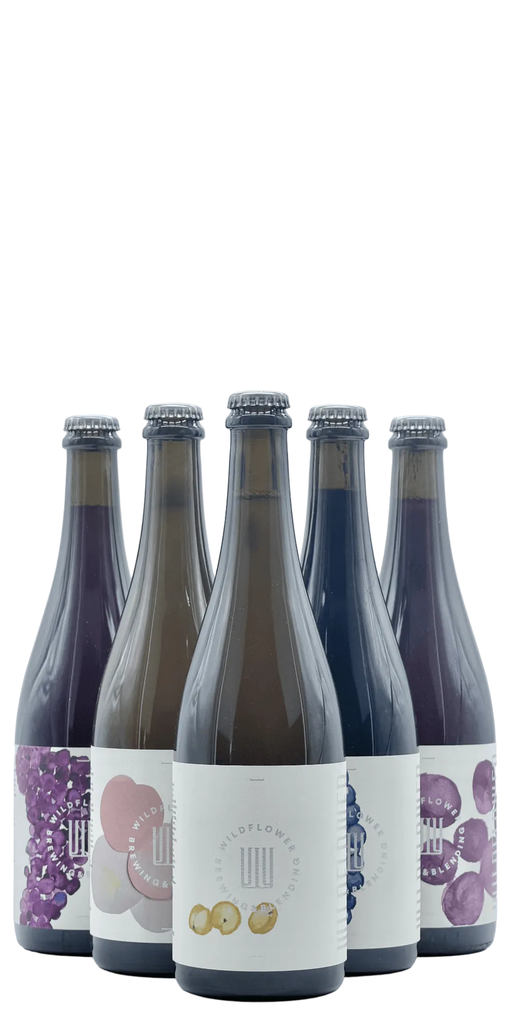 Wildflower - All Saints Bundle